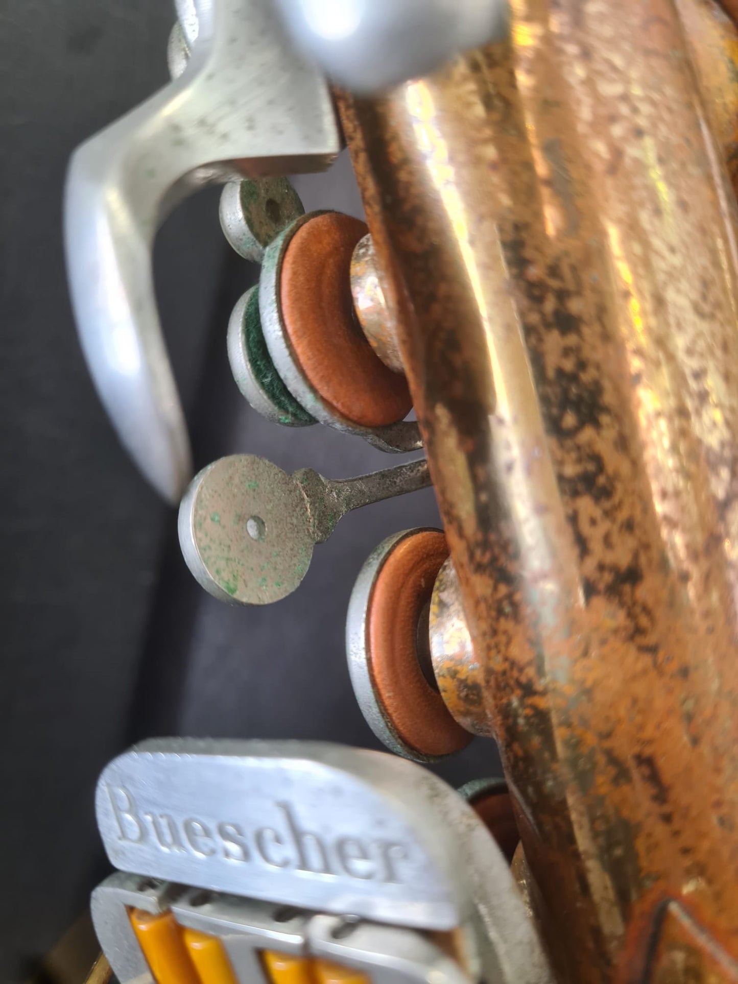 Altsaxophon Buescher 400 Blumen von Costa Instruments, Nahaufnahme des goldfarbenen Saxophons mit Blumen-Design.