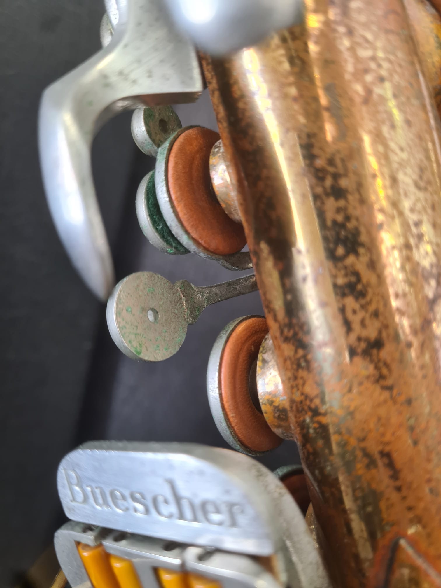 Altsaxophon Buescher 400 Blumen von Costa Instruments, Nahaufnahme des goldfarbenen Saxophons mit Blumen-Design.