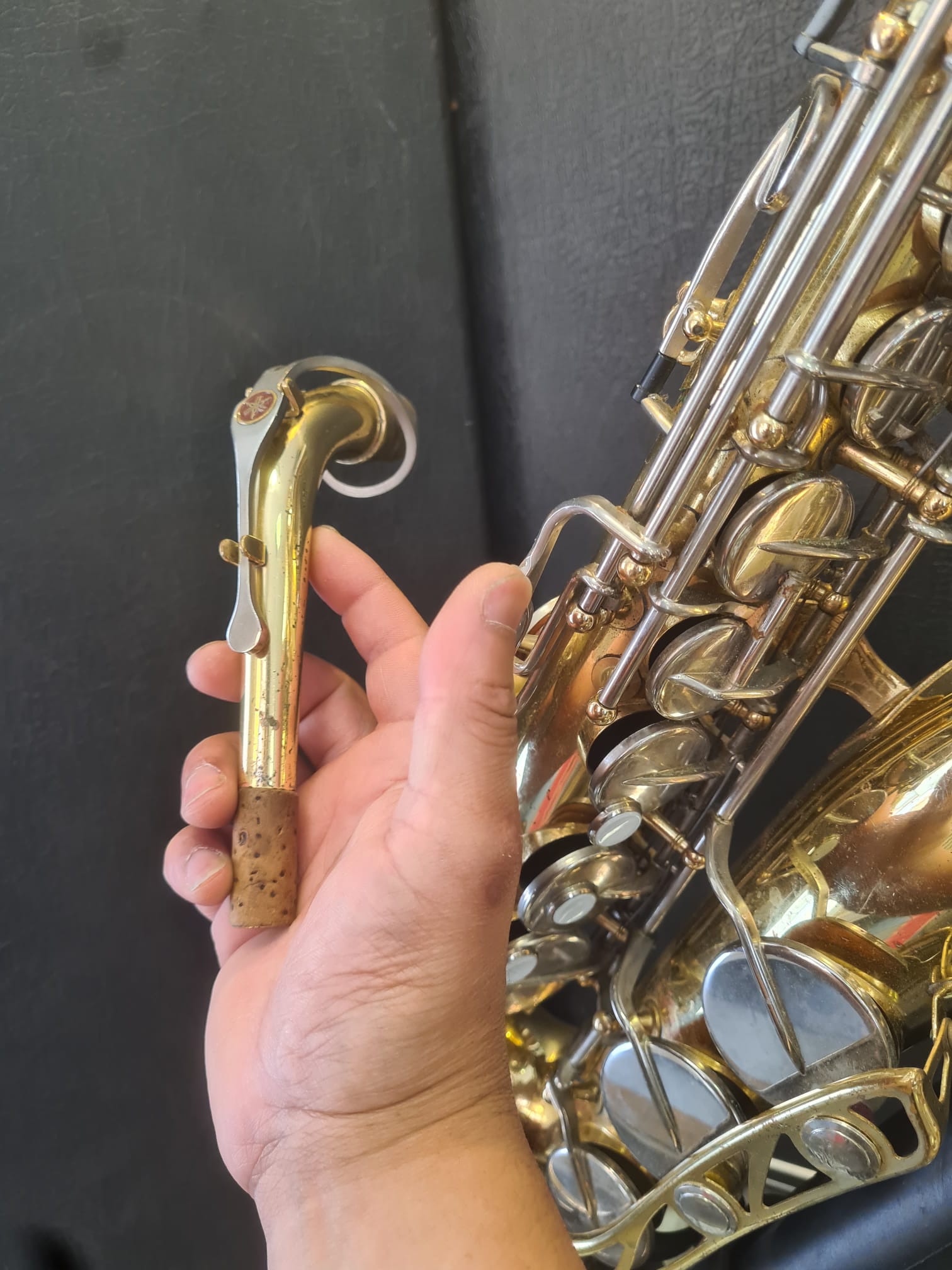Altsaxophon Yamaha YAS 21 von Costa Instruments, glänzendes Messing mit goldener Oberfläche, zeigt das Instrument in Nahaufnahme.