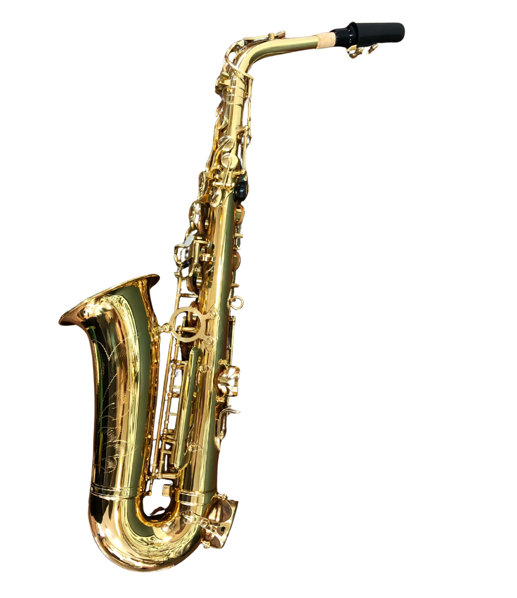 Altsaxophon Schüler-Set von Costa Instruments mit Koffer, ideal für Anfänger, komplett und leicht zu tragen.