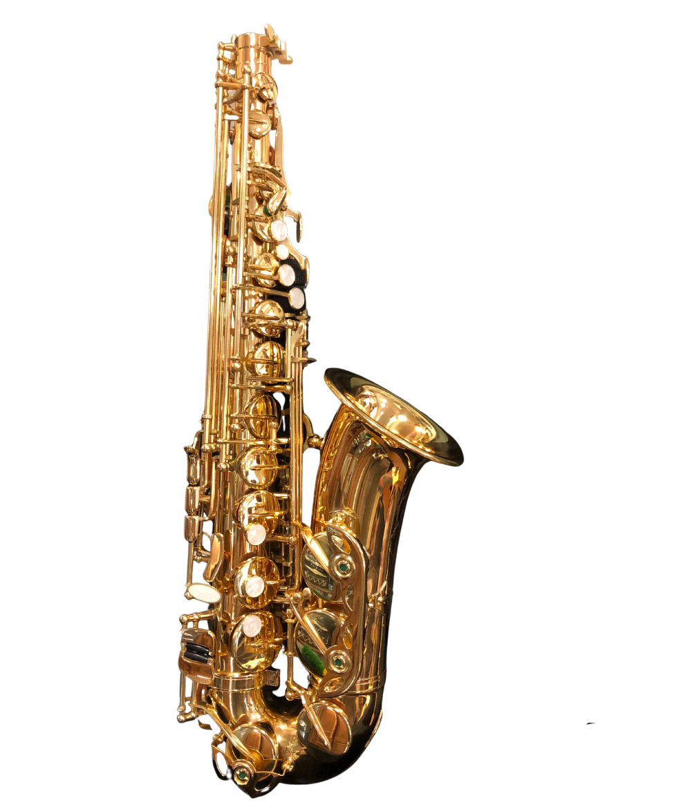 Altsaxophon für Anfänger von Costa Instruments, komplettes Set mit Koffer, ideal für Schüler und Einsteiger.