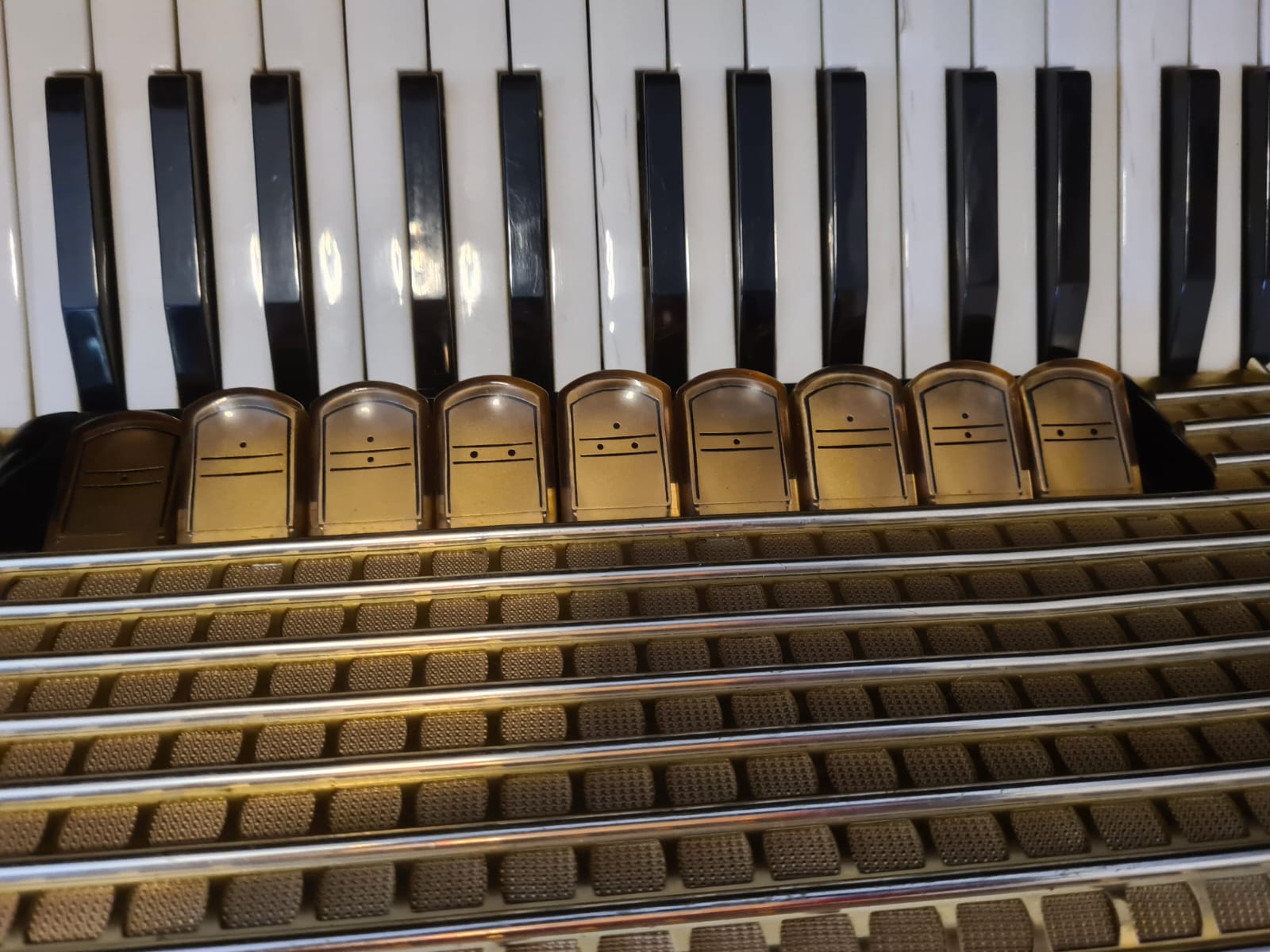 Hohner Verdi II M Akkordeon von Costa Instruments mit 96 Bässen und 9 Diskantregistern, gebraucht, mit Garantie.