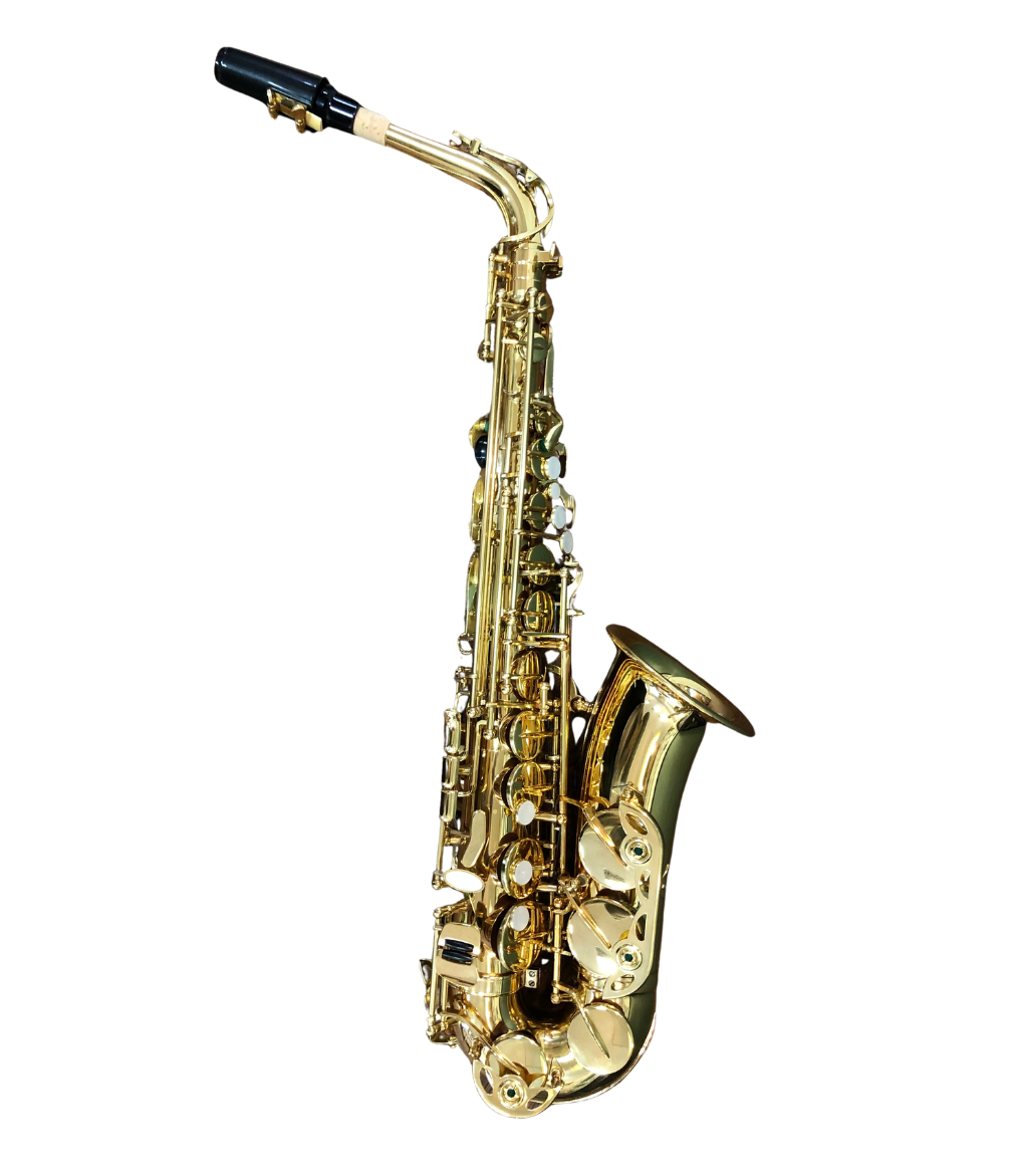 Altsaxophon Schülersaxophon Einsteiger Set mit Koffer, von Costa Instruments, komplett für Anfänger, zeigt das saxophon in der Tasche