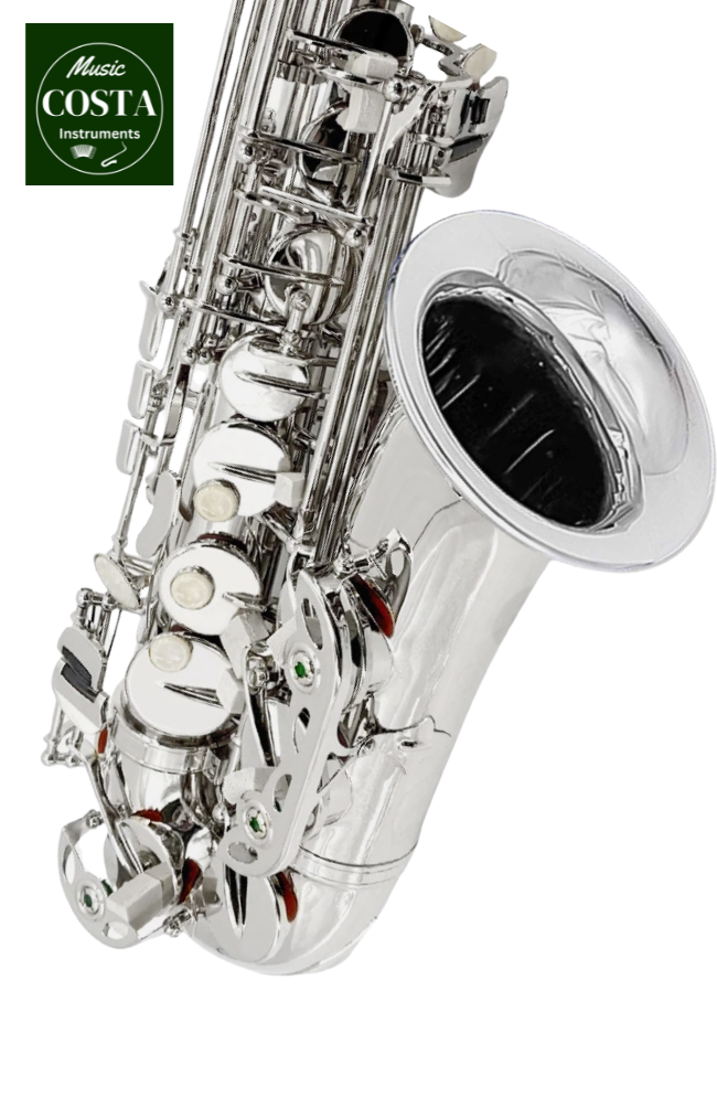 NEU Altsaxophon Silber Schülersaxophon Einsteiger Anfänger Komplett Set mit Rucksack