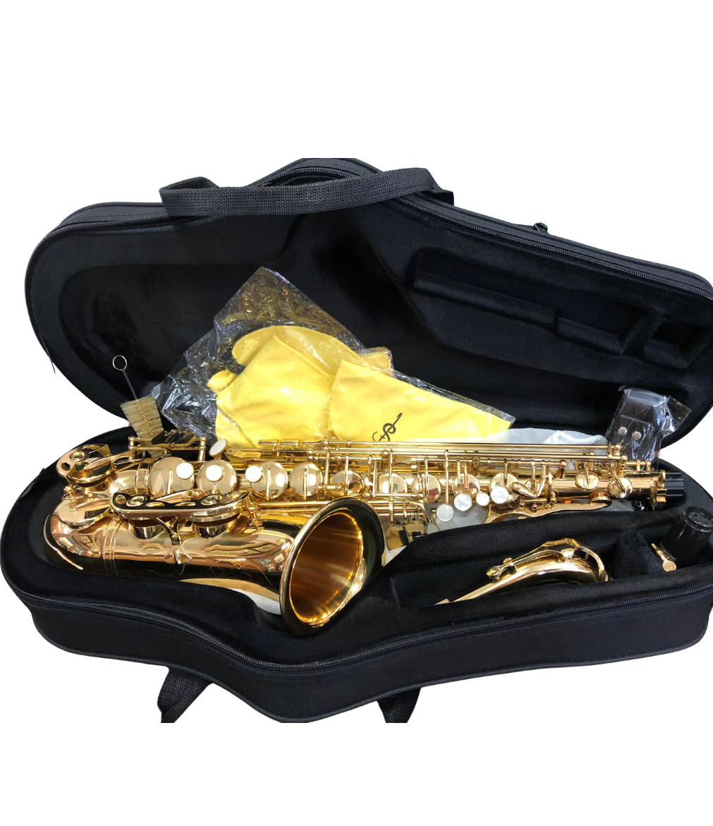 Altsaxophon Schülersaxophon Anfänger Komplettset mit Koffer, von Costa Instruments, zeigt das gelbe Altsaxophon mit Zubehör.