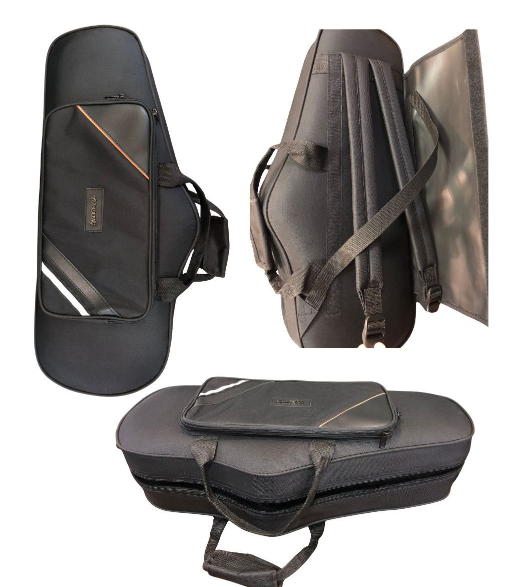 Altsaxophon von Costa Instruments, Schülersaxophon Einsteiger Set mit Koffer, inklusive Zubehör für Anfänger, auf einem weißen Hintergrund