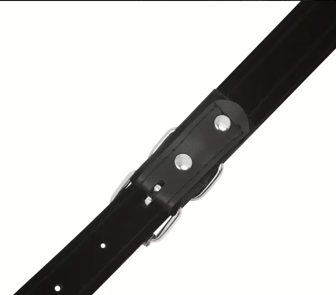 Akkordeon Schwarz Riemen Gurt Tragegurt Straps PU Leder gepolstert