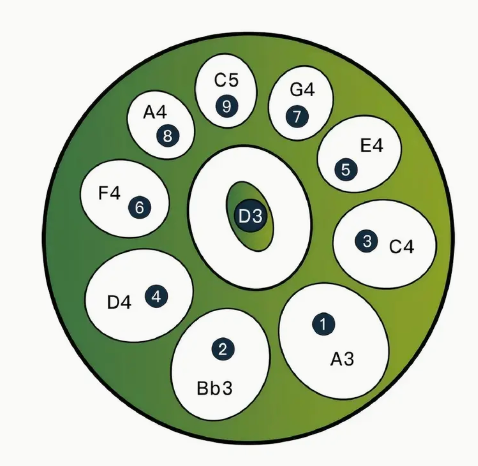 Handpan D-Moll Kupfer Silber 10 Töne Trommel Percussion Klangschale Tasche - Costa Instruments