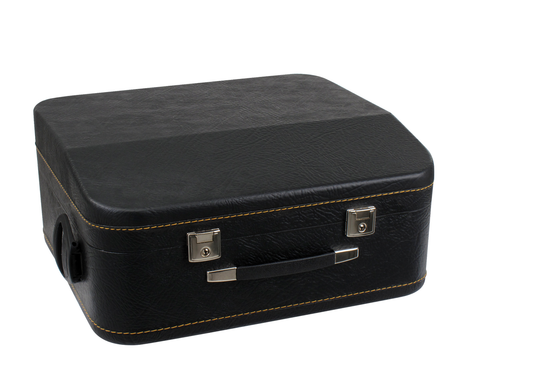 Akkordeon Koffer Gigbag Case Alpenklang 120 Bass