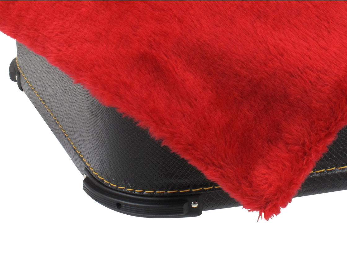 Akkordeon Koffer Gigbag Case Alpenklang 120 Bass