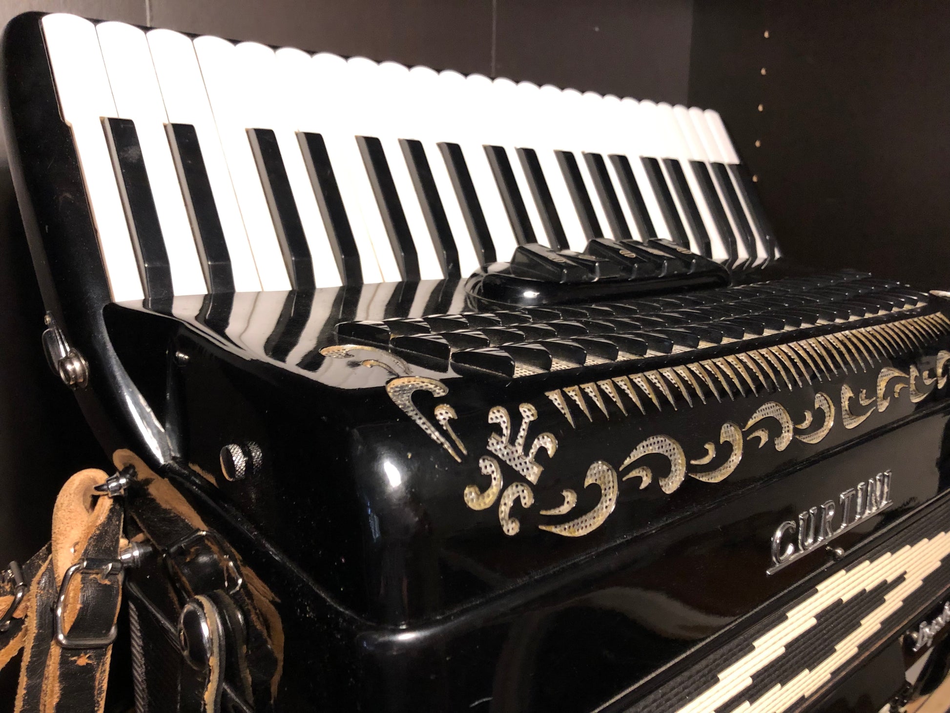 Bugari Reeds Used Curtini Accordion - 120 Bass with Bugari Reeds – Costa Instruments