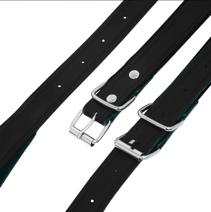 Akkordeon Gurte Riemen Schwarz Rot Gepolstert dick - Costa Instruments