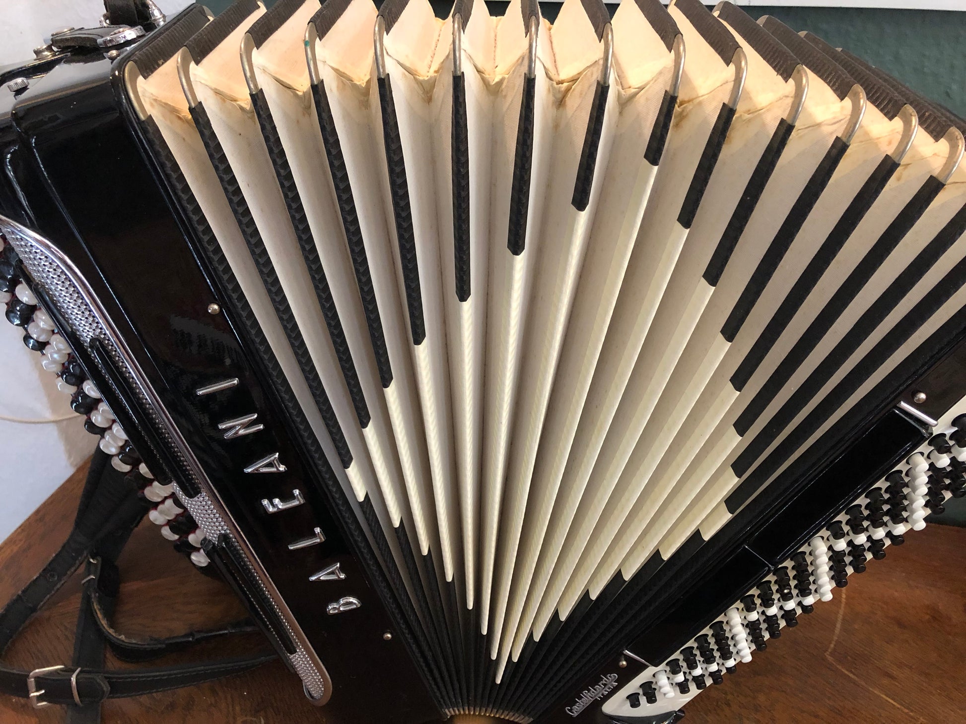 Gebrauchtes Costa Instruments Baleani Akkordeon 120 Bass mit Knopf, aus Castelfidardo, mit 1 Jahr Garantie, Nahaufnahme