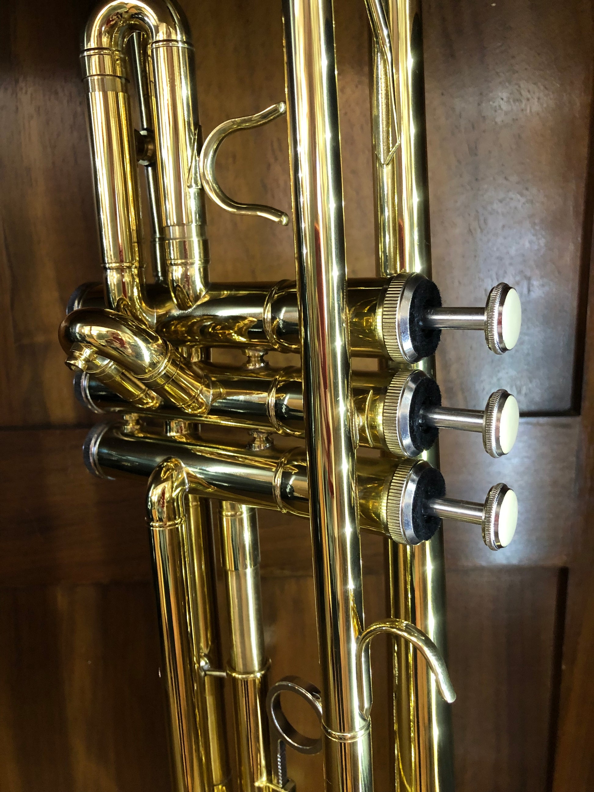 Goldene Bb-Anfänger-Trompete von Costa Instruments mit Koffer, Mundstück und Zubehör, ideal für Schüler, auf Bild sichtbar