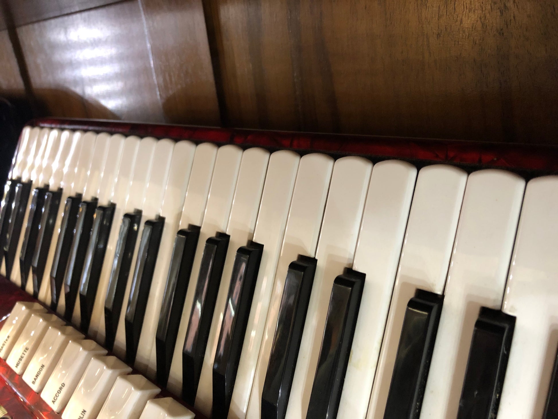 Rotes Mantovanelli Akkordeon von Costa Instruments mit 120 Bass, 7 Registern, spielbereit, auf Bild sichtbar.