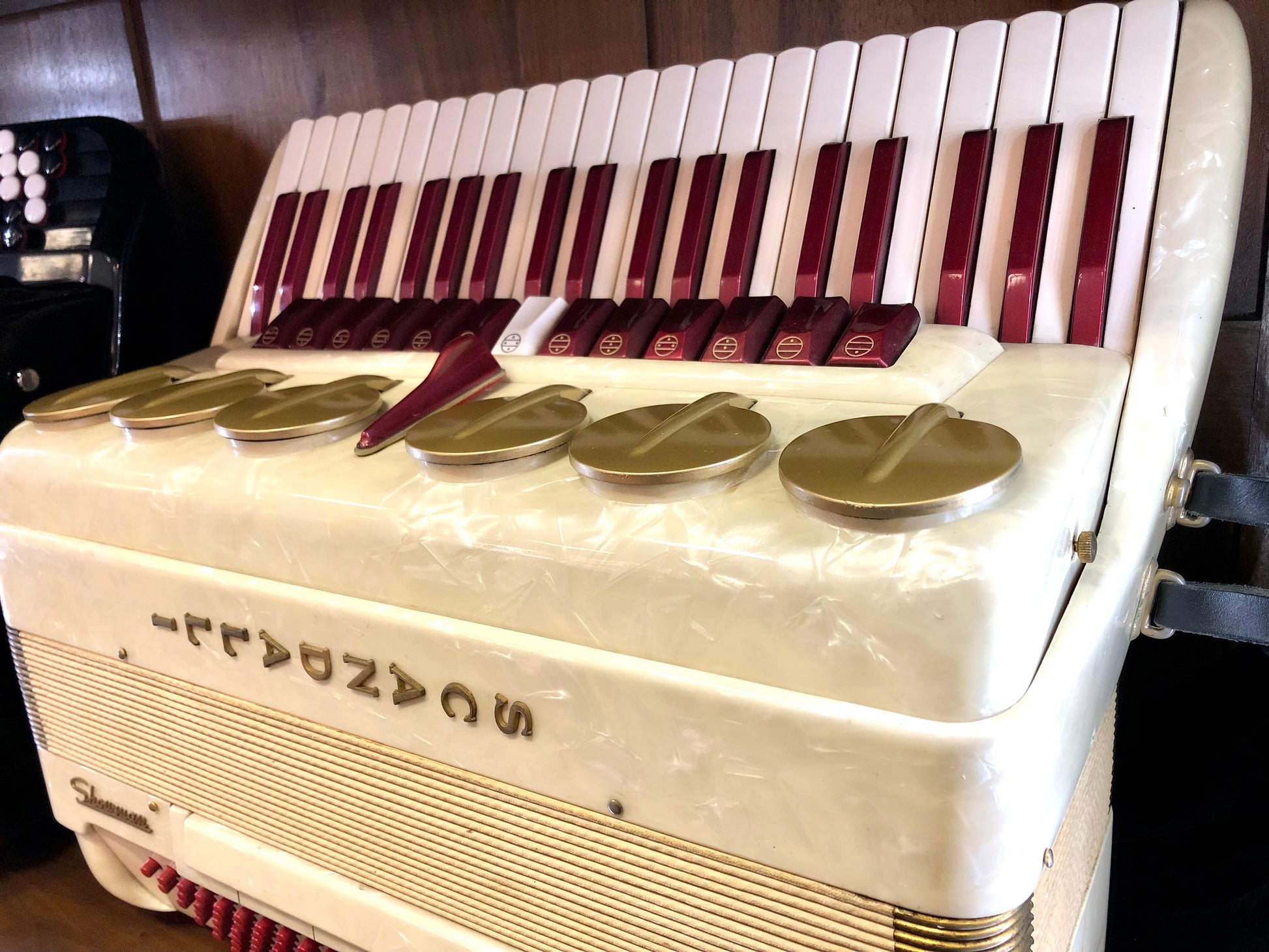 Scandalli Showman accordion akkordeon Costa Instruments