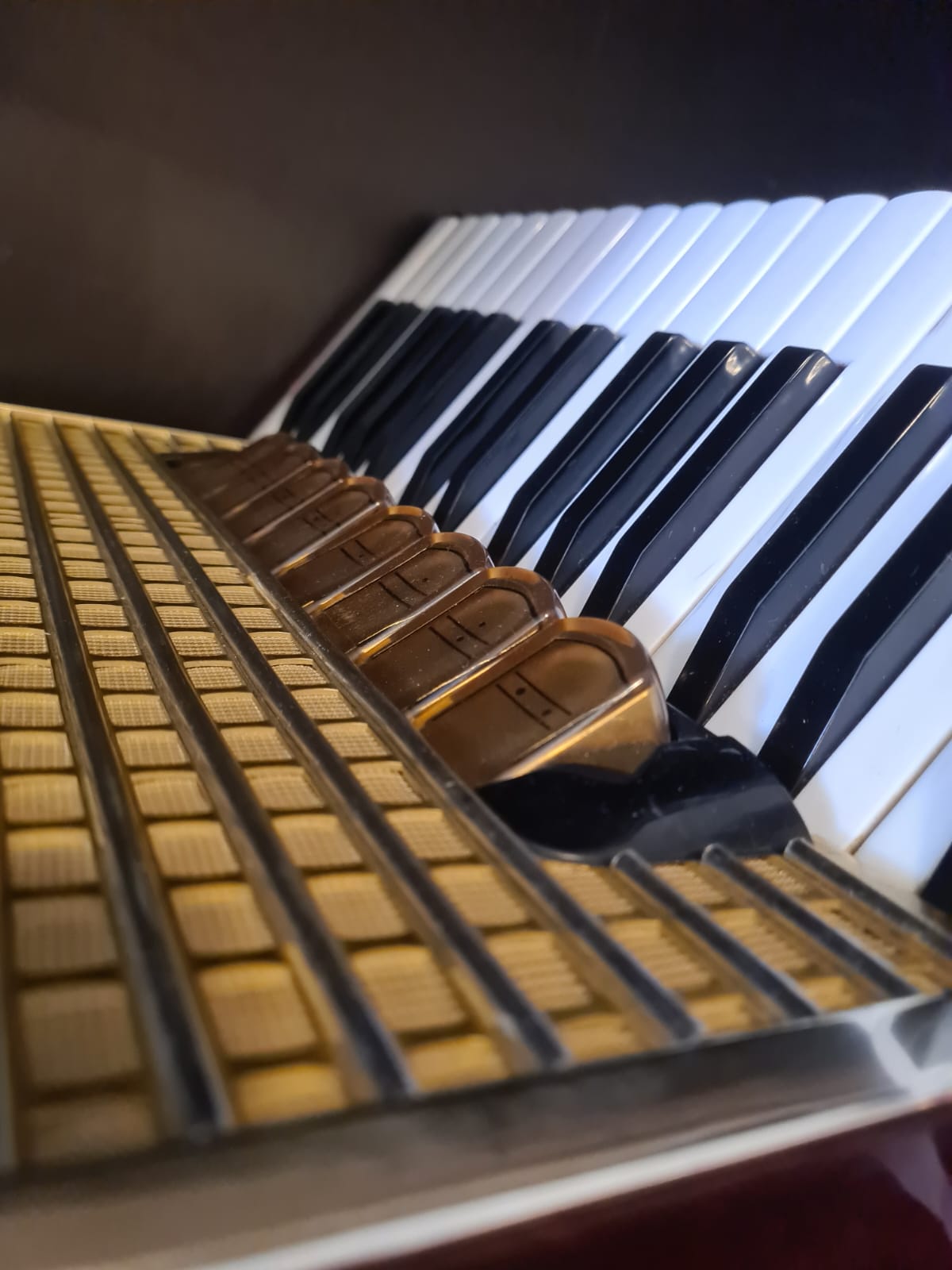 Hohner Verdi II M Akkordeon von Costa Instruments, gebrauchtes Modell mit 96 Bässen und 9 Diskantregistern, deutsche Handwerksqualität